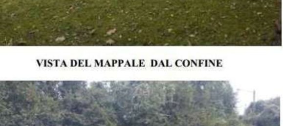 Villa de 5 habitaciónes en Brinzio, Italy No. 200423 8