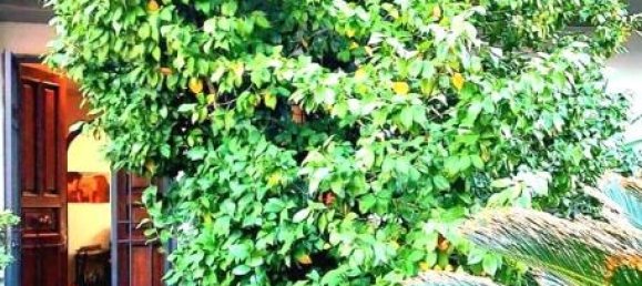 Вилла с 6 комнатами в Прато, Италия № 8611 22