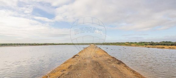 4 chambres Villa à Pechao, Portugal No. 23275 16