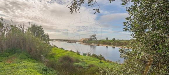 4 chambres Villa à Pechao, Portugal No. 23275 10