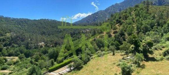 40 rooms Building in Ghisoni, France No. 39668 10