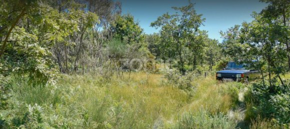 قطعة أرض في Amarante, Portugal 6000متر مربع رقم 15535 15