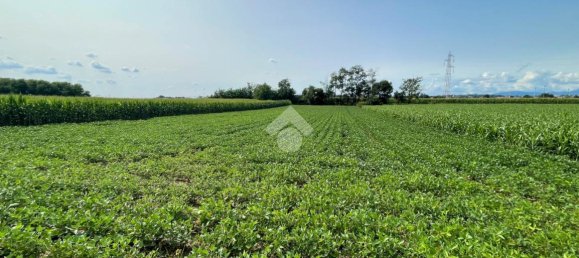 Grundstück in Casatenovo, Italy 4000m², Nr. 78300 9