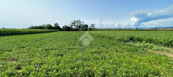 Grundstück in Casatenovo, Italy 4000m², Nr. 78300 5