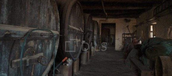 7 Schlafzimmer Haus in Coimbra, Portugal, Nr. 294014 17