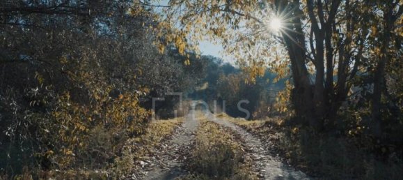 7 Schlafzimmer Haus in Coimbra, Portugal, Nr. 294014 18