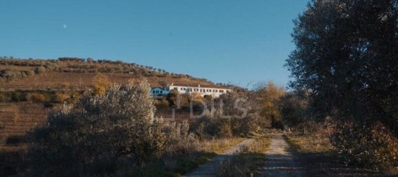 7 Schlafzimmer Haus in Coimbra, Portugal, Nr. 294014 20