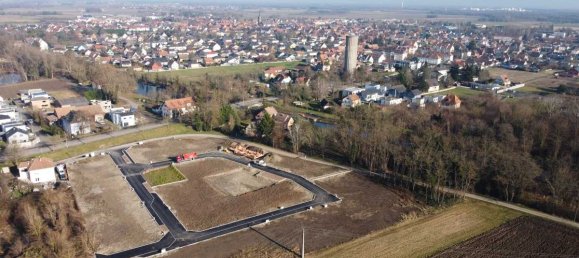  قطعة أرض في Marckolsheim, France رقم 239552 2