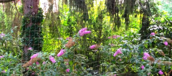 1 bedroom Apartment in Wedding, Germany No. 238404 8