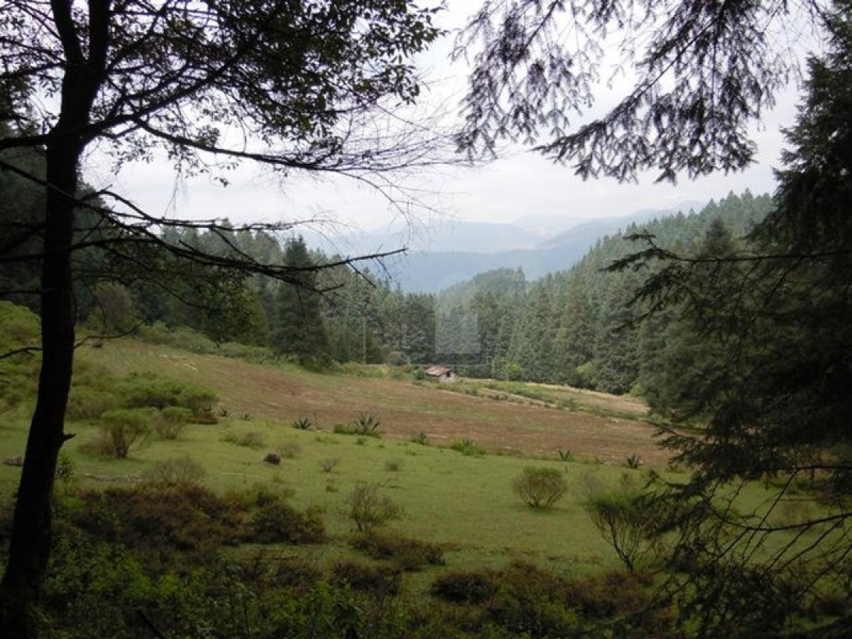 Terreno em Mexico N.º 207125