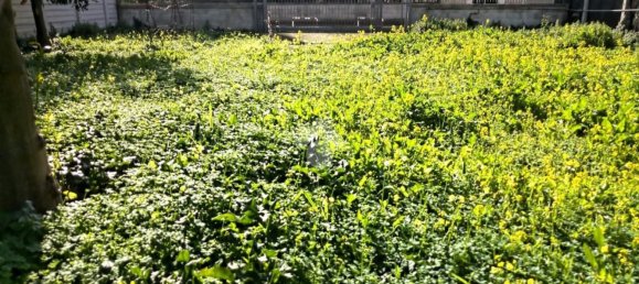 600m² Land in Santa Maria a Vico, Italy No. 103924 14