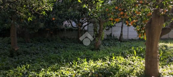 600m² Land in Santa Maria a Vico, Italy No. 103924 21