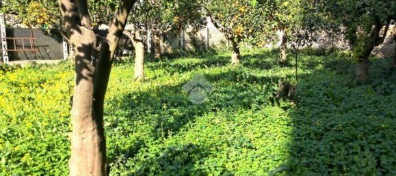 600m² Land in Santa Maria a Vico, Italy No. 103924 13