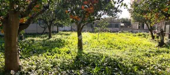 600m² Land in Santa Maria a Vico, Italy No. 103924 18