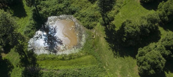 4 bedrooms Farm in Dunoon, Australia No. 780 28