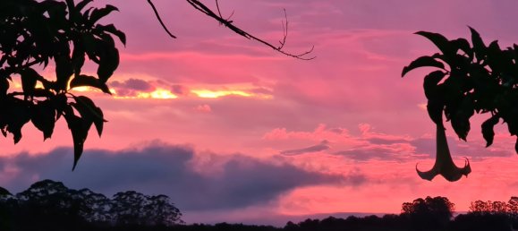 4 bedrooms Farm in Dunoon, Australia No. 780 9