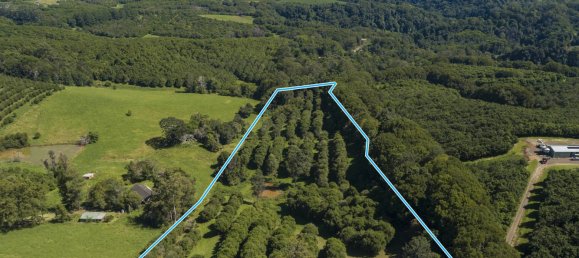 4 bedrooms Farm in Dunoon, Australia No. 780 12