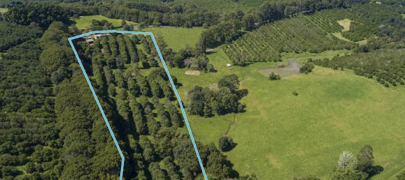 4 bedrooms Farm in Dunoon, Australia No. 780 29