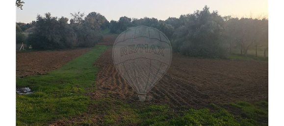 Terrain à Lagoa, Portugal 10040m² No. 30841 5