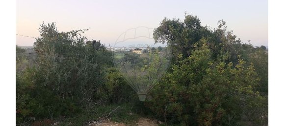 Terrain à Lagoa, Portugal 10040m² No. 30841 6