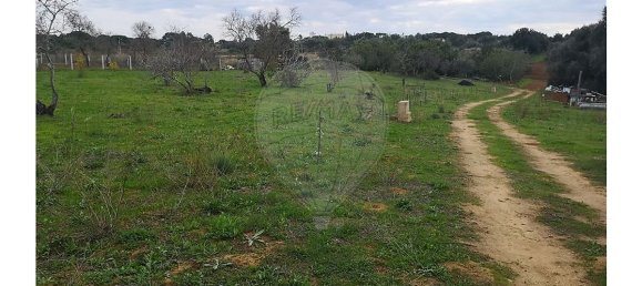 Terrain à Lagoa, Portugal 10040m² No. 30841 4