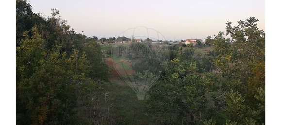 Terrain à Lagoa, Portugal 10040m² No. 30841 7