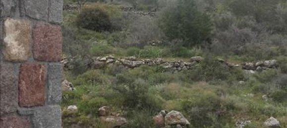 Property in Aegina, Greece 130m², Nr. 6179 11