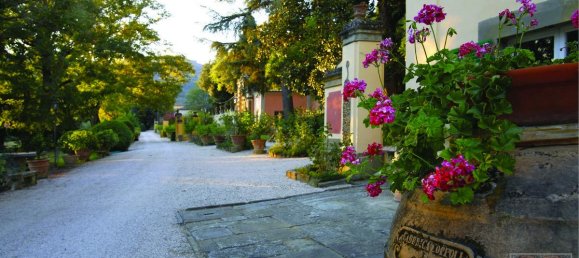 Дом с 8 спальнями в Кортона, Италия № 274 5