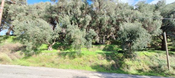 5565 m² hotel en venta en Corfu, Central Corfu and Diapontian Islands, Corfu, Ionian Islands, Peloponnese, Western Greece and the Ionian, Greece № 72408 2