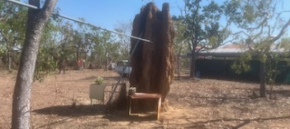 219097m² Land in Finniss Valley, Australia No. 420 3