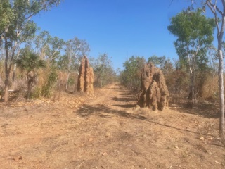 219097m² Land in Finniss Valley, Australia No. 420