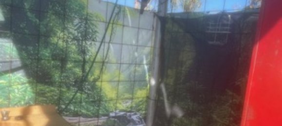 219097m² Land in Finniss Valley, Australia No. 420 12