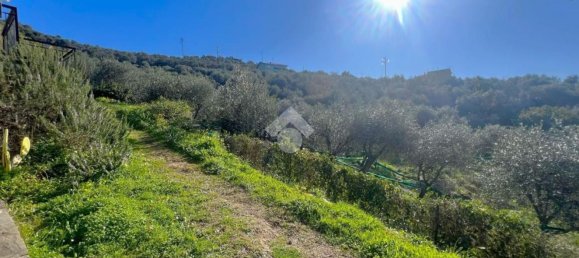 2-Zimmer Wohnung in Lavagna, Italy, Nr. 140253 9