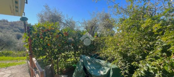 2-Zimmer Wohnung in Lavagna, Italy, Nr. 140253 4