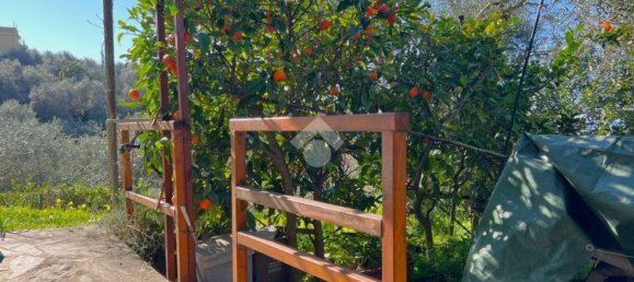 2-Zimmer Wohnung in Lavagna, Italy, Nr. 140253 5