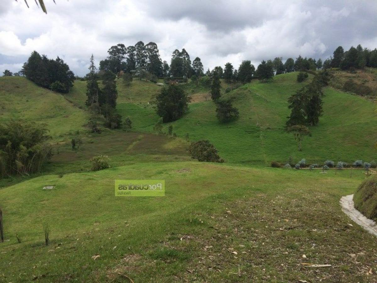Terreno en Antioquia, Colombia No. 206