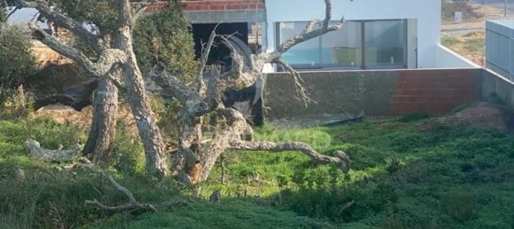 217m² Land in Setubal, Portugal No. 70933 13