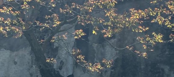 Casa de 4 divisões em Maratea, Italy N.º 282760 6