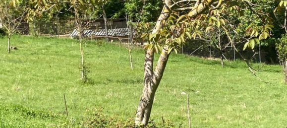 Casa de 4 divisões em Maratea, Italy N.º 282760 4