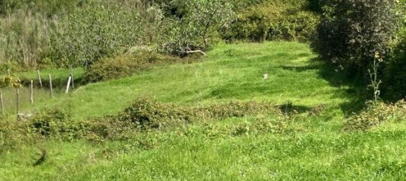 Casa de 4 divisões em Maratea, Italy N.º 282760 9