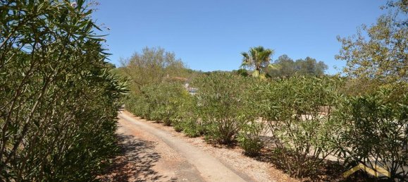 3 bedrooms Villa in Loule, Portugal No. 145554 9