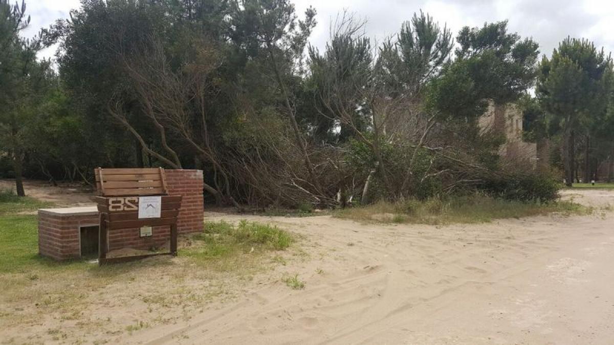  قطعة أرض في Mar del Plata, Argentina رقم 118065
