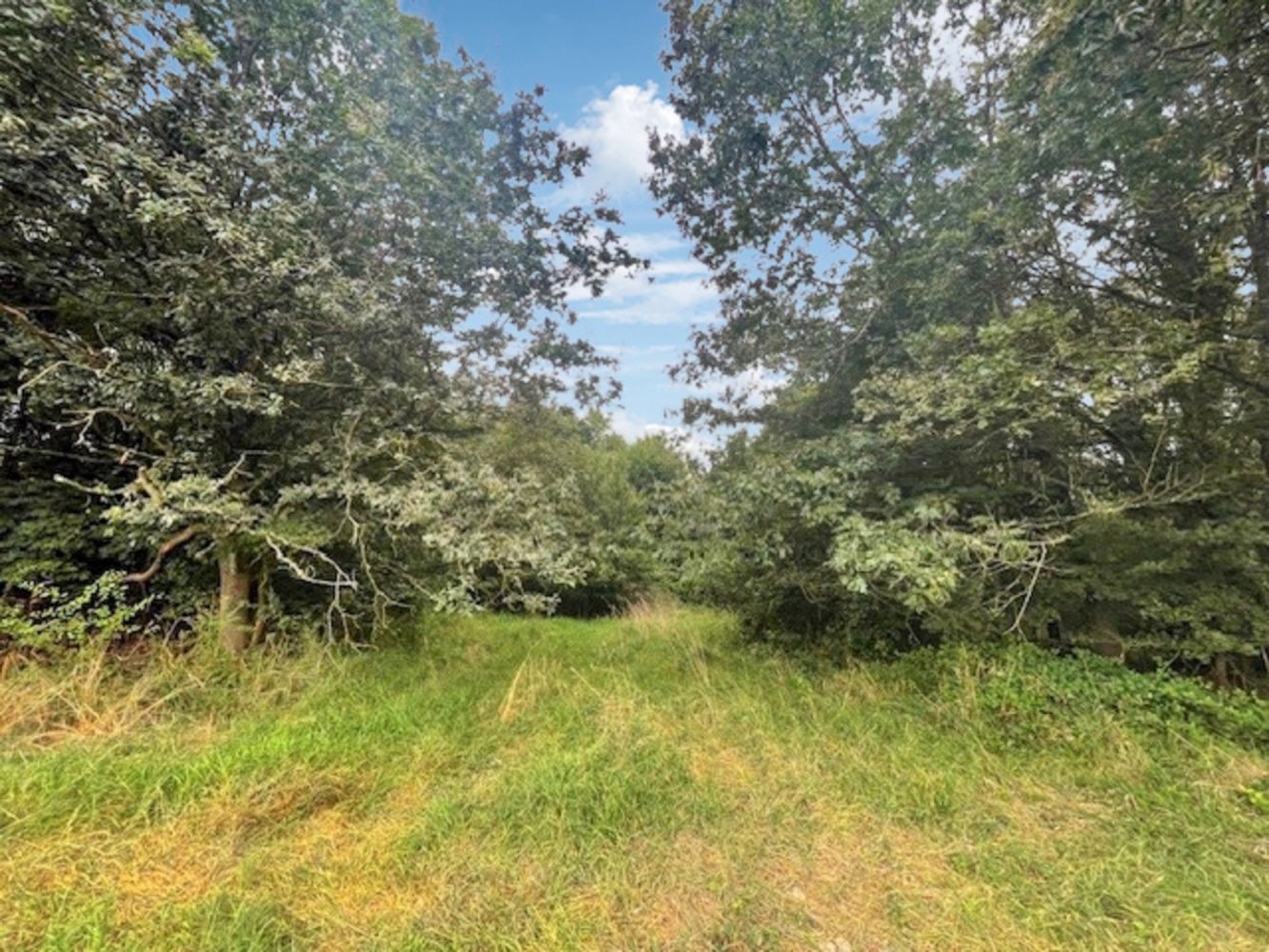  Land in Kusel, Germany No. 54134