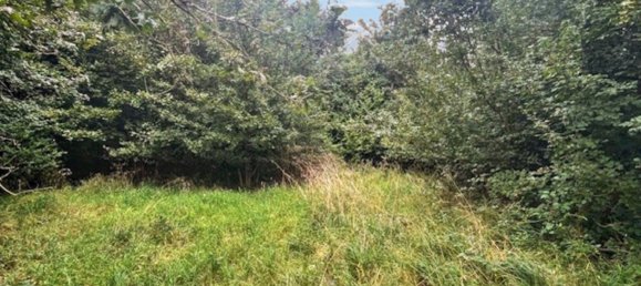  Land in Kusel, Germany No. 54134 3