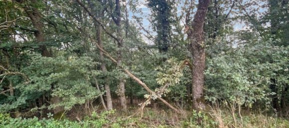  Land in Kusel, Germany No. 54134 5