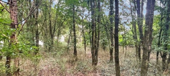  Land in Kusel, Germany No. 54134 4