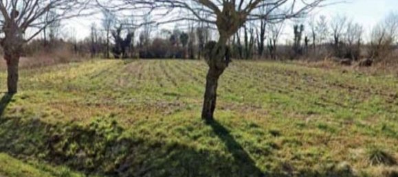 8 rooms House in Carbonera, Italy No. 297426 17