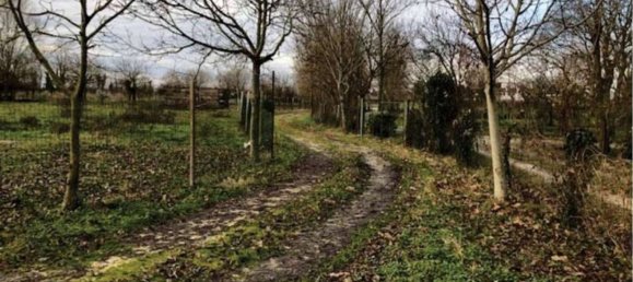 8 rooms House in Carbonera, Italy No. 297426 13