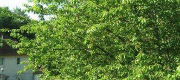 Apartamento T1 em Essen, Germany N.º 283559 11