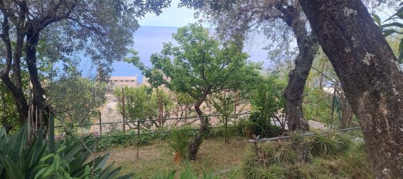 6-Zimmer Wohnung in Camogli, Italy, Nr. 287705 7